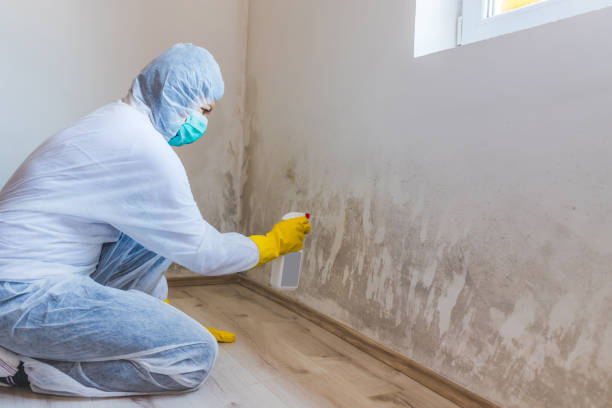 Licensed Mold Testing service in Garfield, TX - WQB Mold Removal