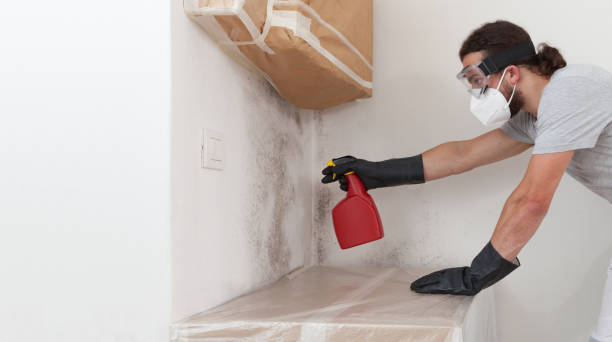 Professional Mold Testing technician working in Garfield, TX